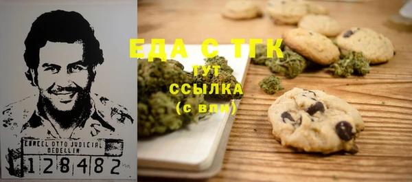 мдпв Богородицк