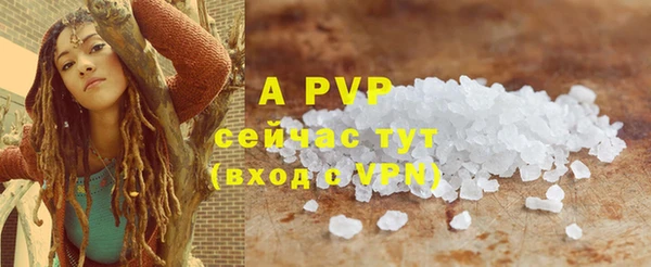 гашиш Богданович