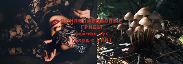 альфа пвп Белокуриха