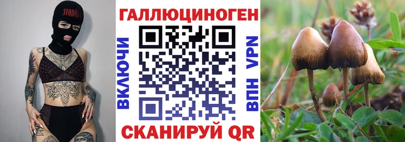 где можно купить   Пионерский  Галлюциногенные грибы прущие грибы 